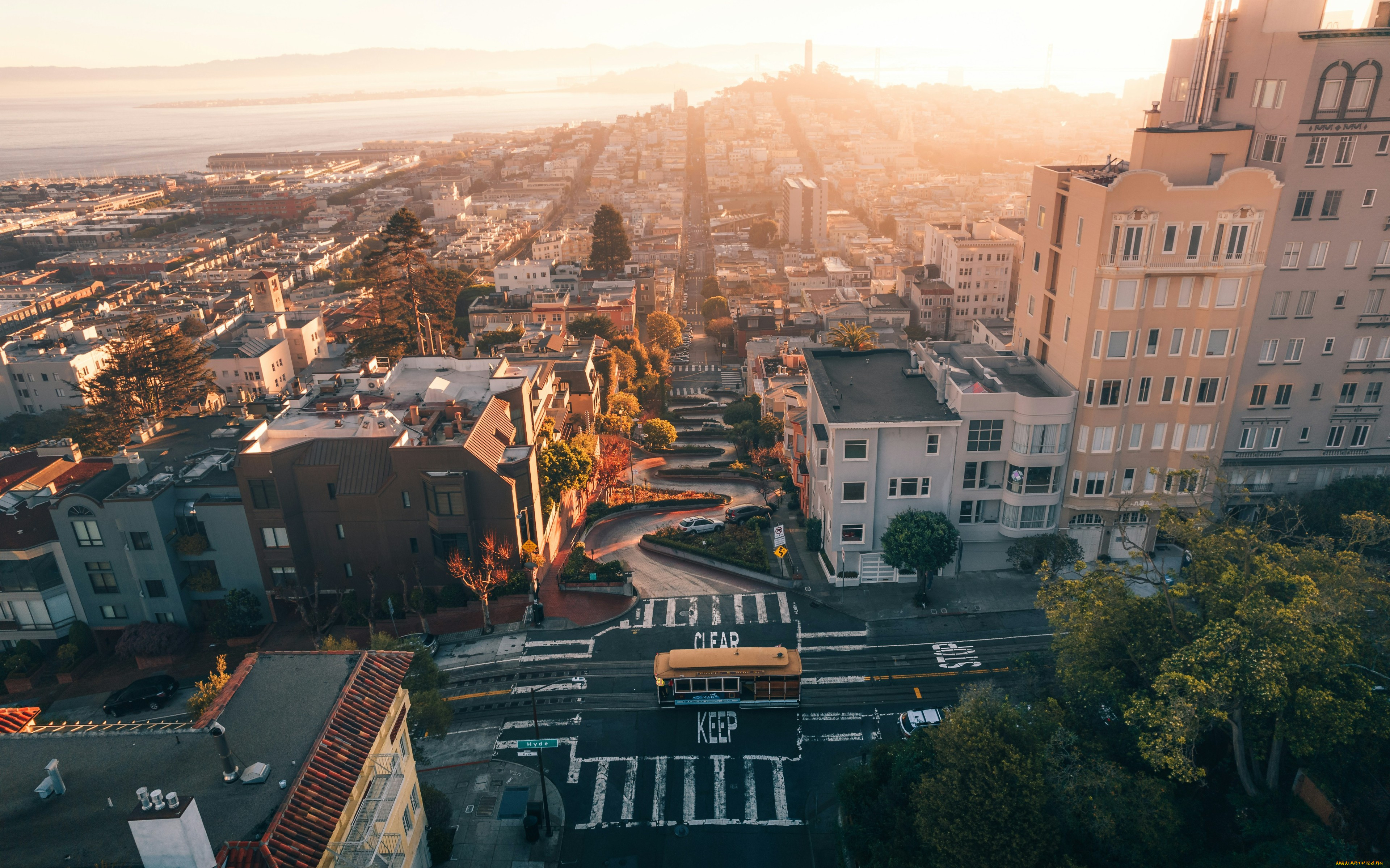 , - , , , , , , , , , , , , , lombard, street, , , jaredd, craig